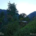 The Dream Nest Homestay & Treehouse