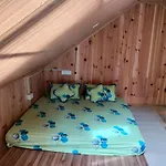 Sarita Cottages