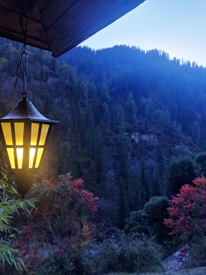 The Misty Wilds Home, Homestay Jibhi