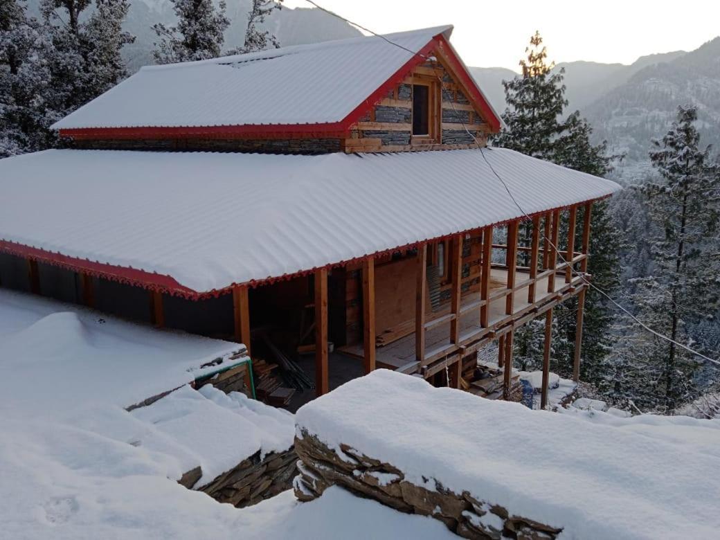 The Dream Nest Homestay & Treehouse Homestay