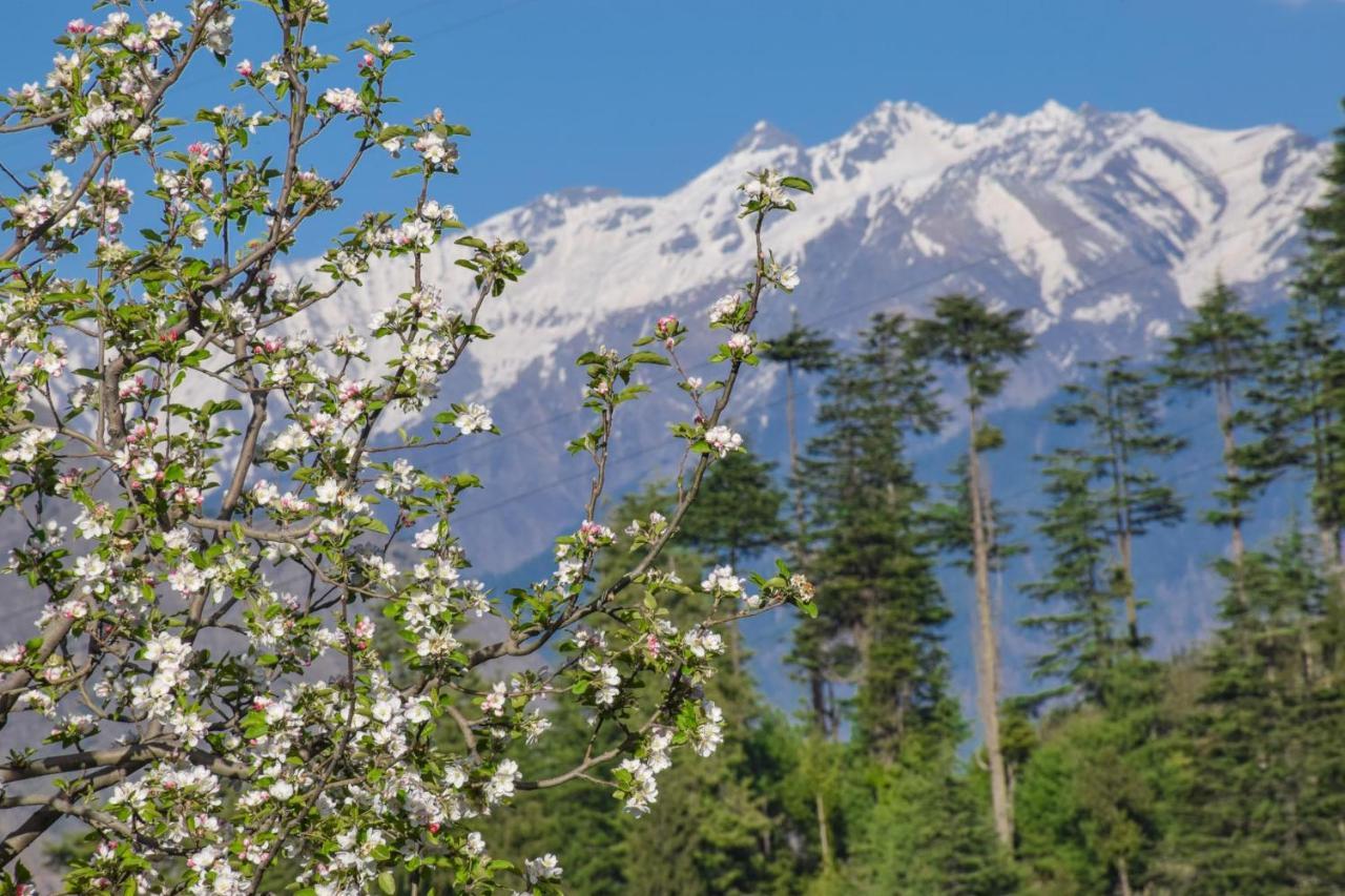 The Tirthan Eagle Nest, Tirthan Valley Lodge