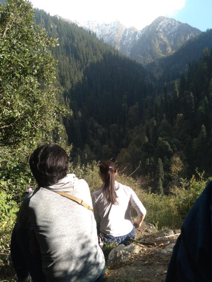 Lodge The Tirthan Eagle Nest, Tirthan Valley