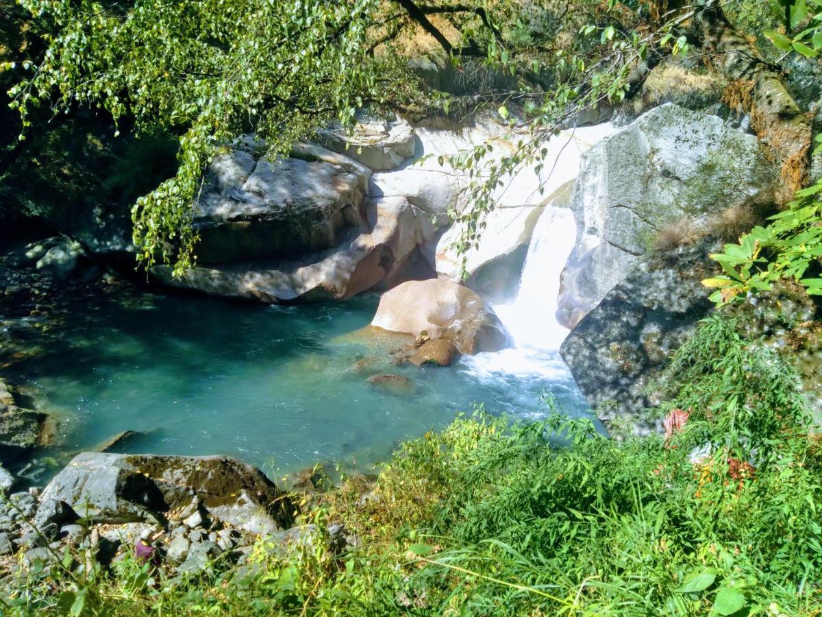 The Tirthan Eagle Nest, Tirthan Valley Lodge *