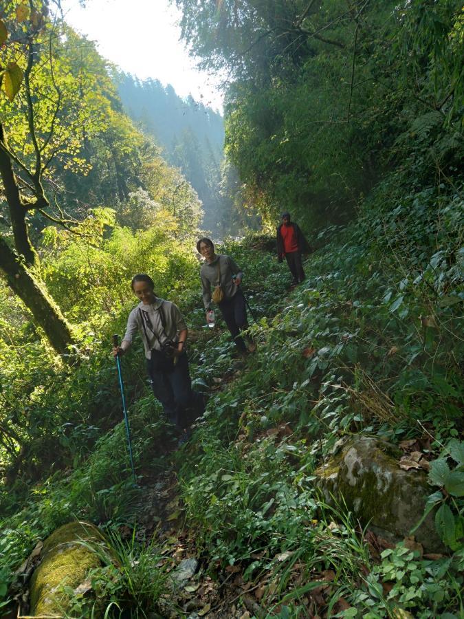 The Tirthan Eagle Nest, Tirthan Valley