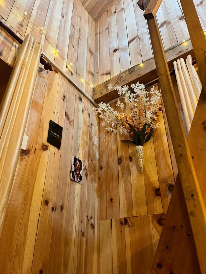 Nebula Nook Farm stay
