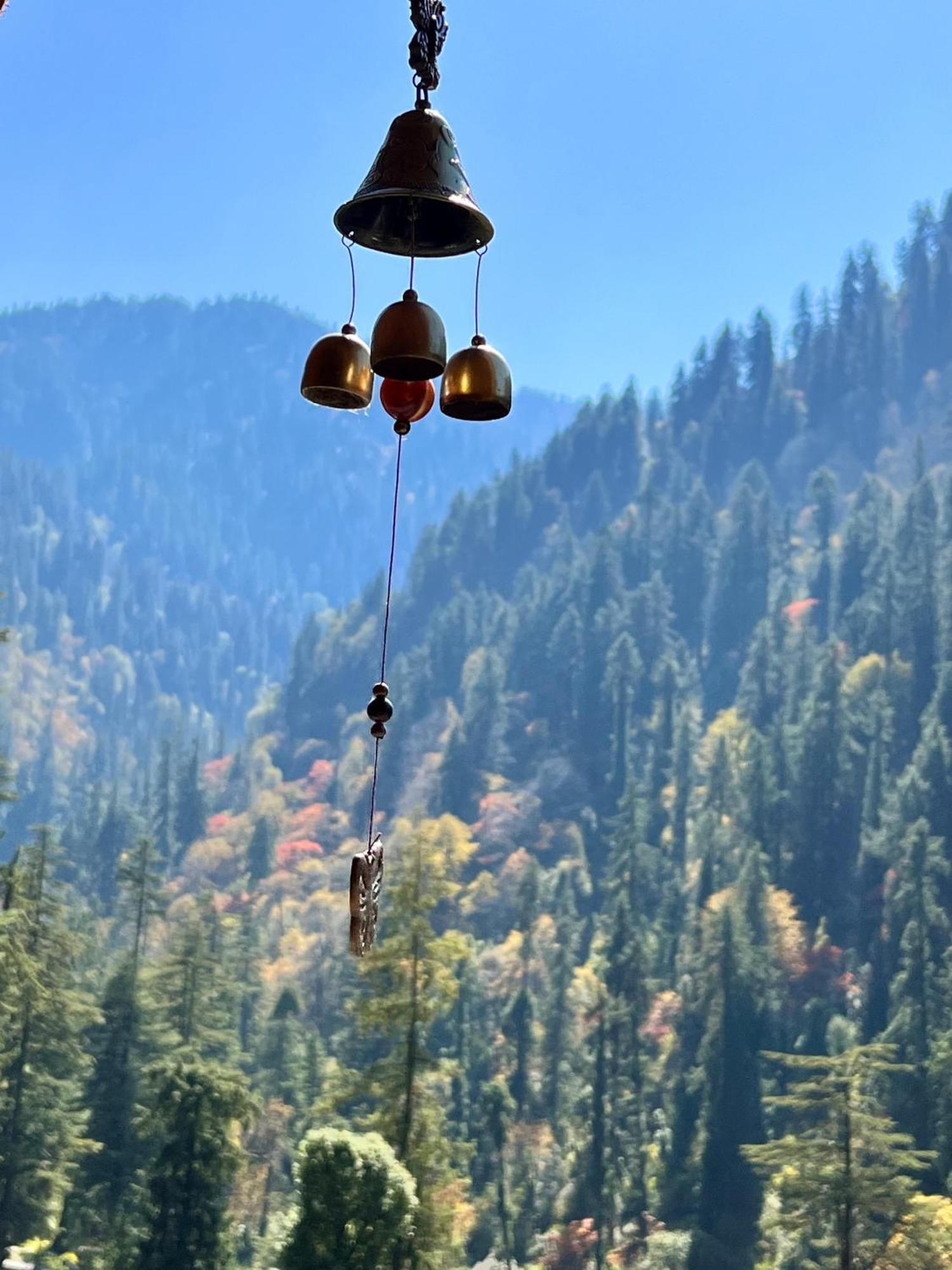 The Misty Wilds Home, Homestay Jibhi