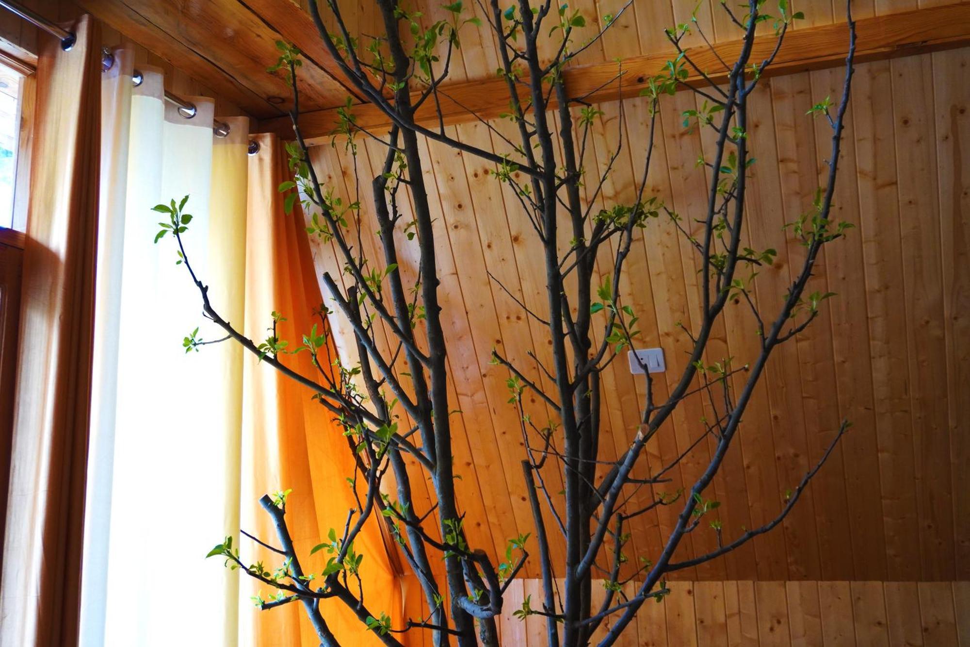Apartment Winterfell Treehouse *