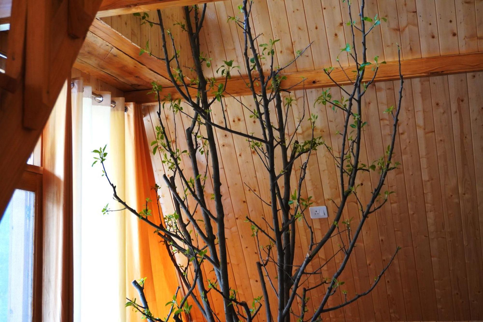 Apartment Winterfell Treehouse