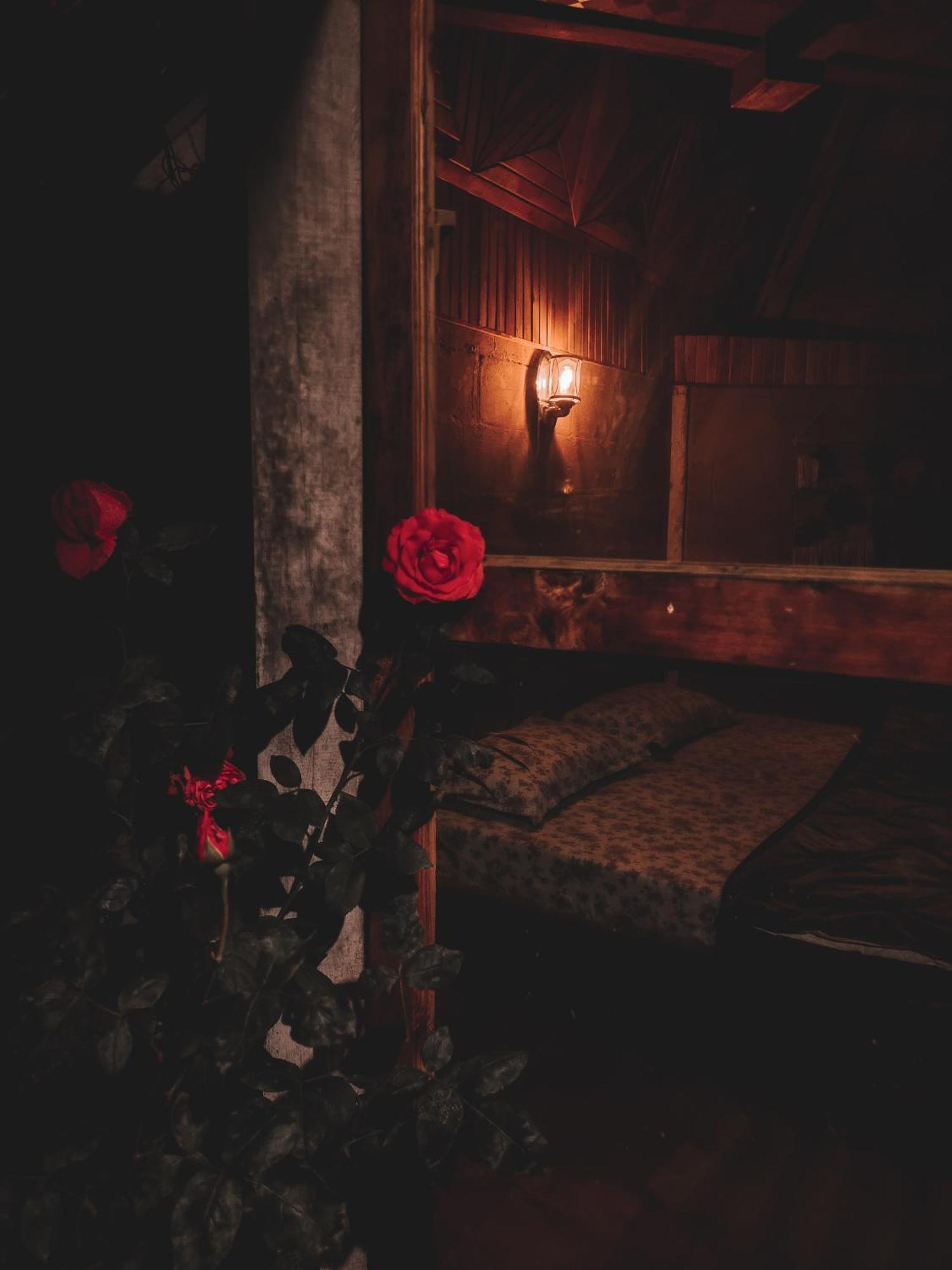 Norwegian Wood Cafe And