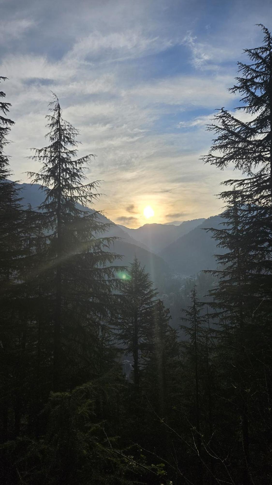 Freebird Nest Homestay Jibhi