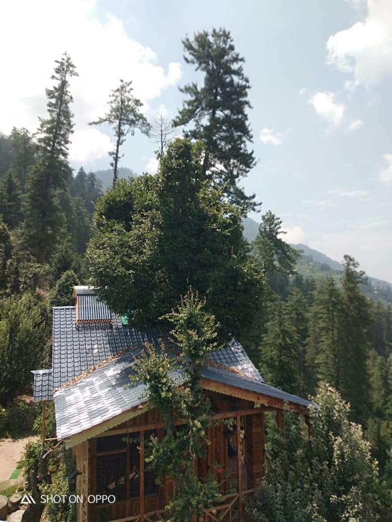 Villa Hunting Wood Tree Seri