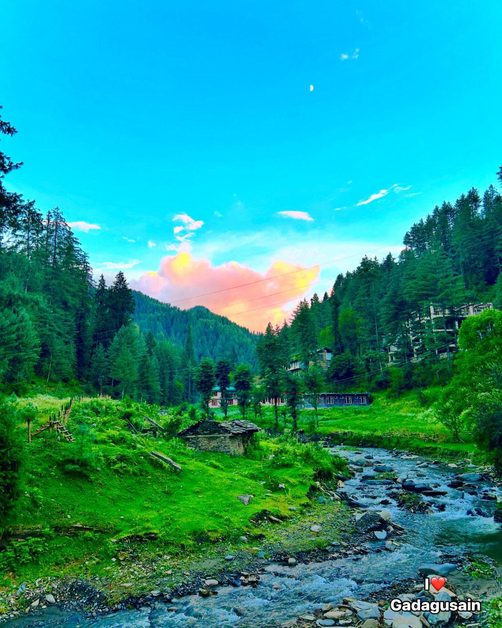 Alpine At Gadagusain Jibhi