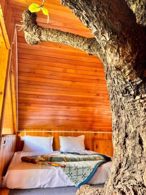 Himalayantradition Treehouse Holiday home