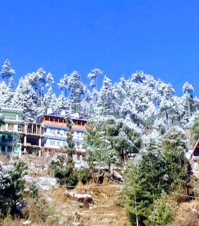 Mountain View 1 Homestay *
