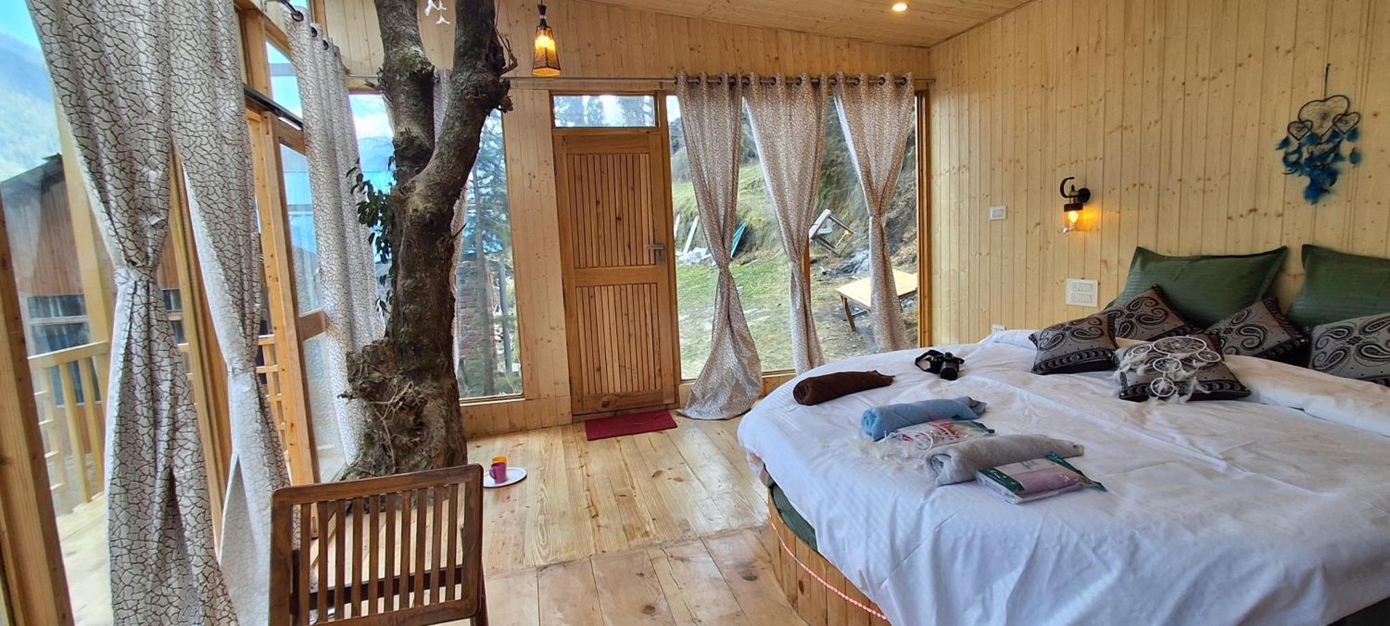 Hikers Wooden The Cedarwood Glass Tree House *