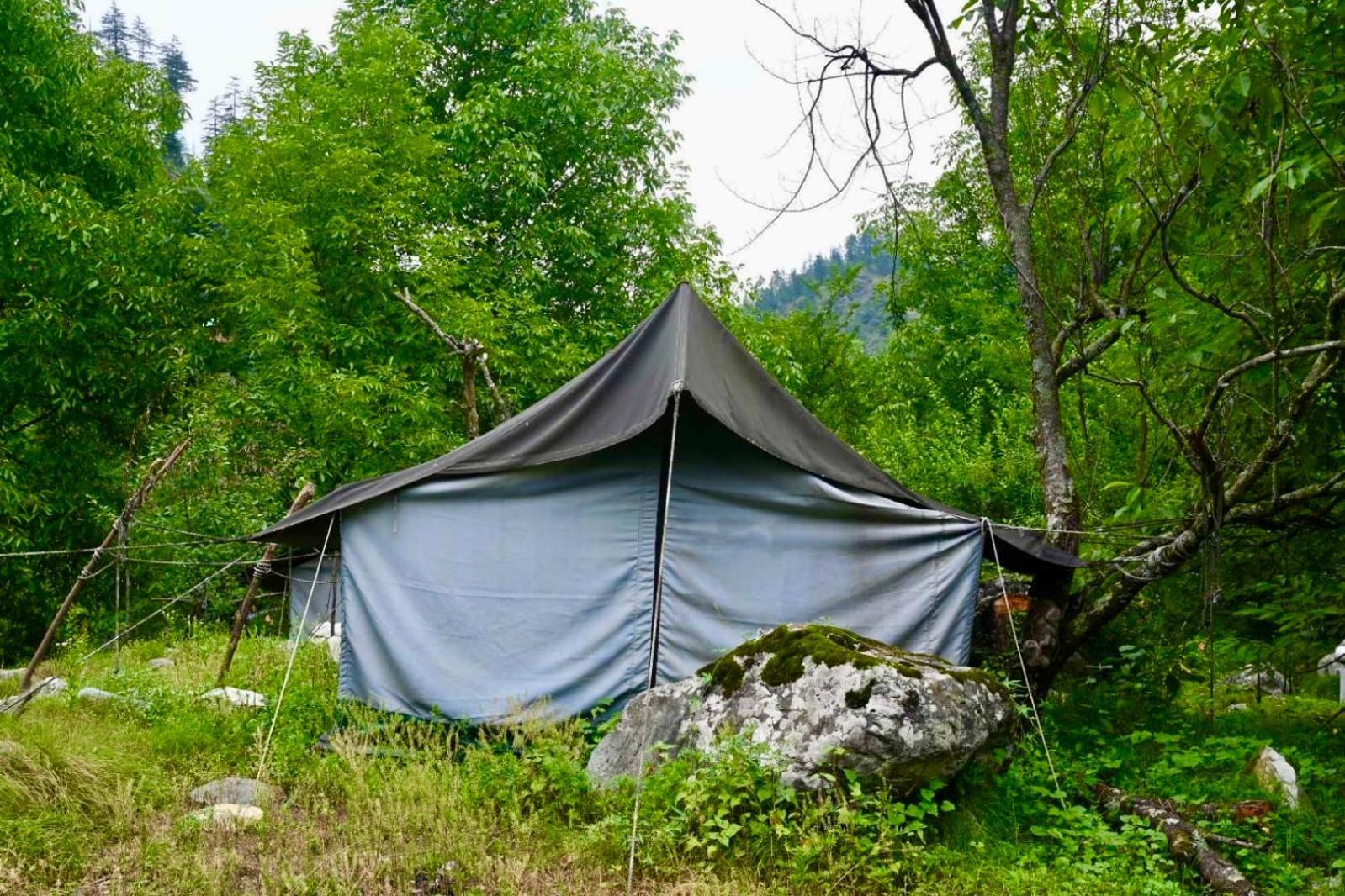 Woodland Tent Jibhi