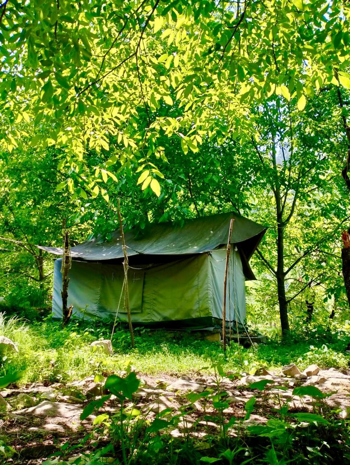 Luxury tent Woodland Tent *
