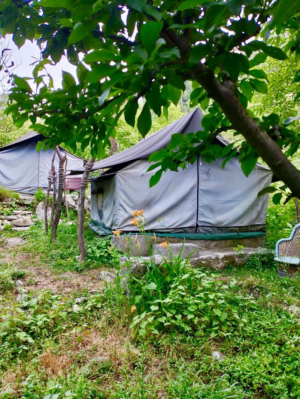Woodland Tent Luxury tent Jibhi