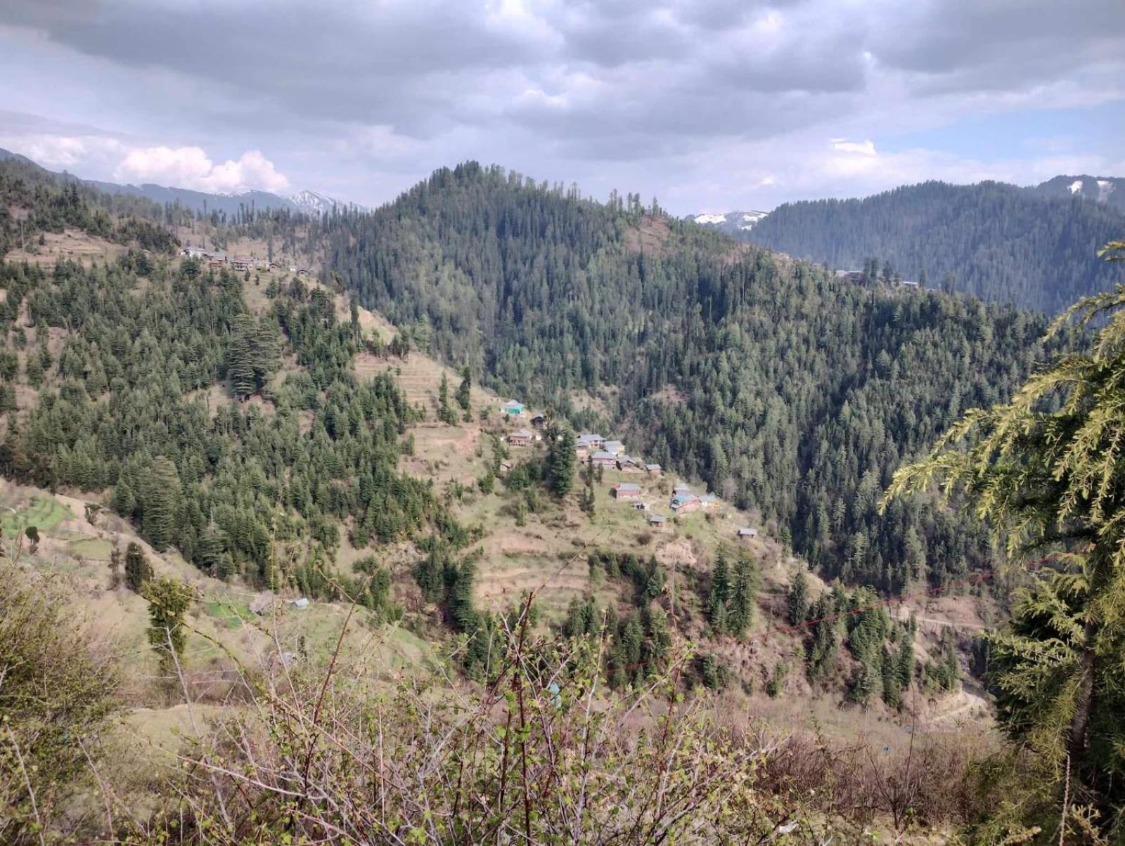 The Saraj Heritage Homestay Jibhi