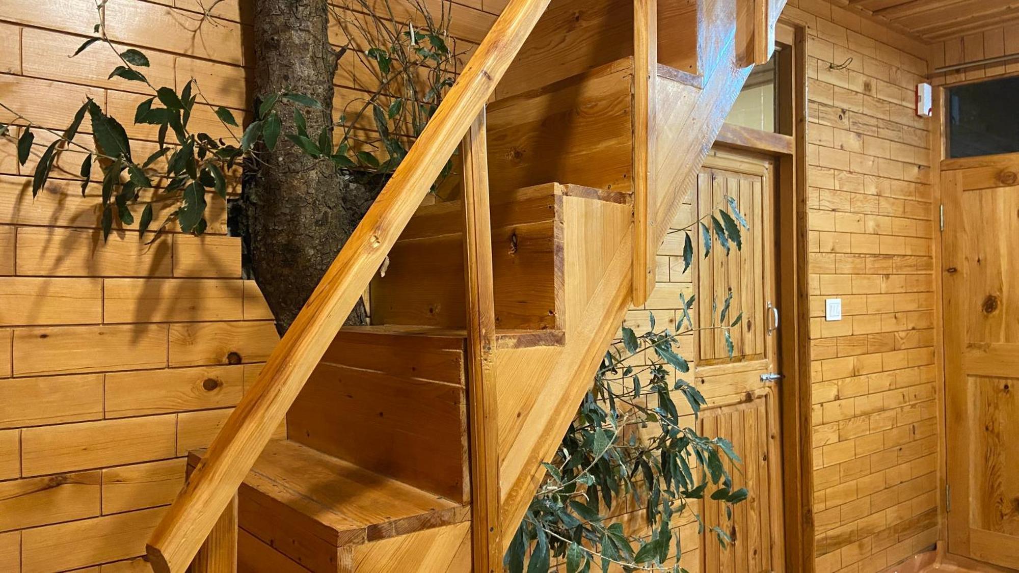 Bliss Treehouse * Jibhi