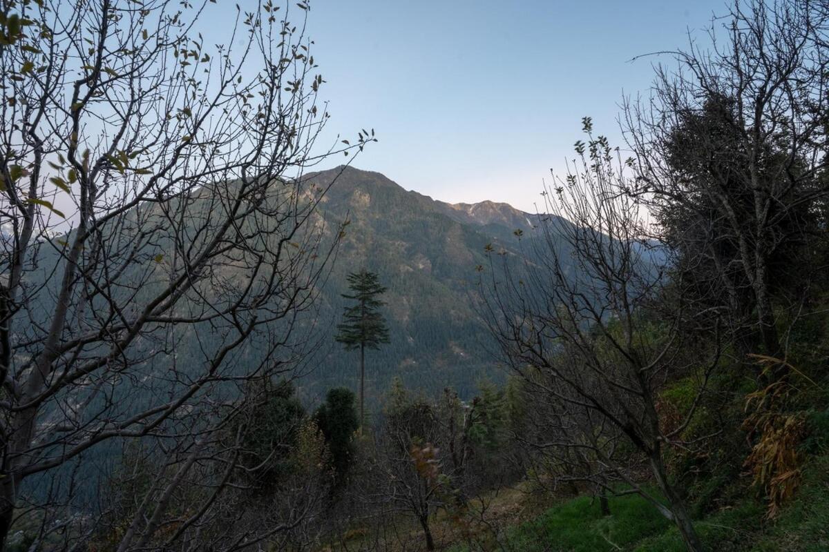 Fairytale Treehouse In Bahu By Bastiat Holiday home Jibhi