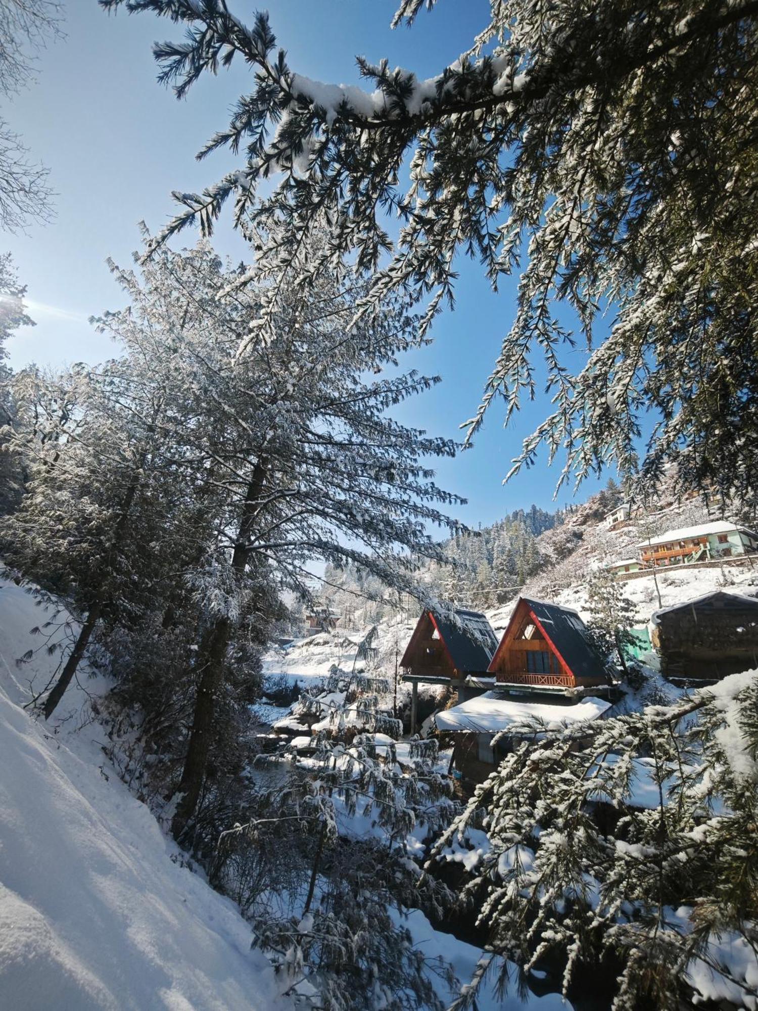 The Riverbank Nest Chalet *
