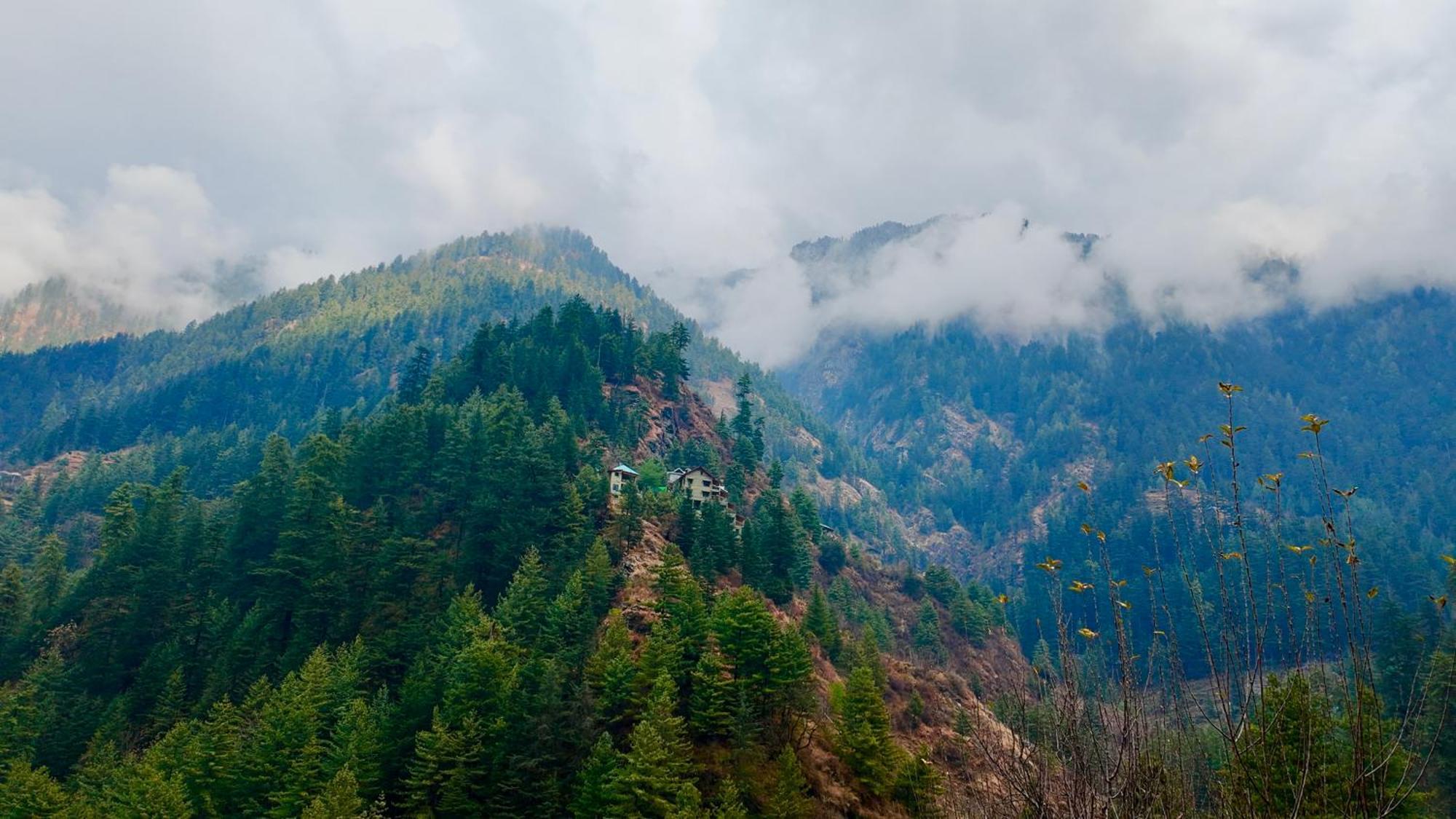 The Luxe Cascades *