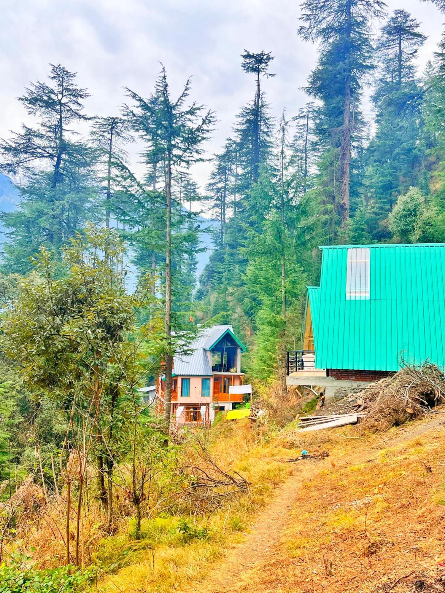 Winter Soul Lodge Jibhi