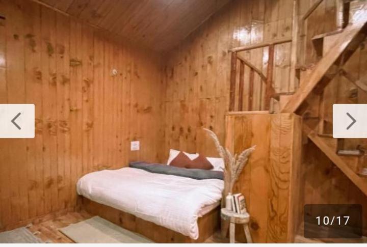 Cedarwood *
