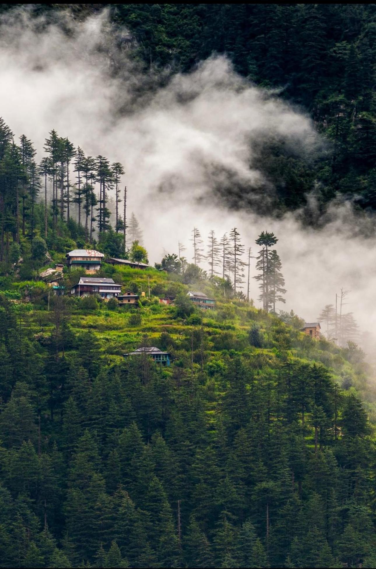 Himalayan Quails Nest Treehouse Chalet *