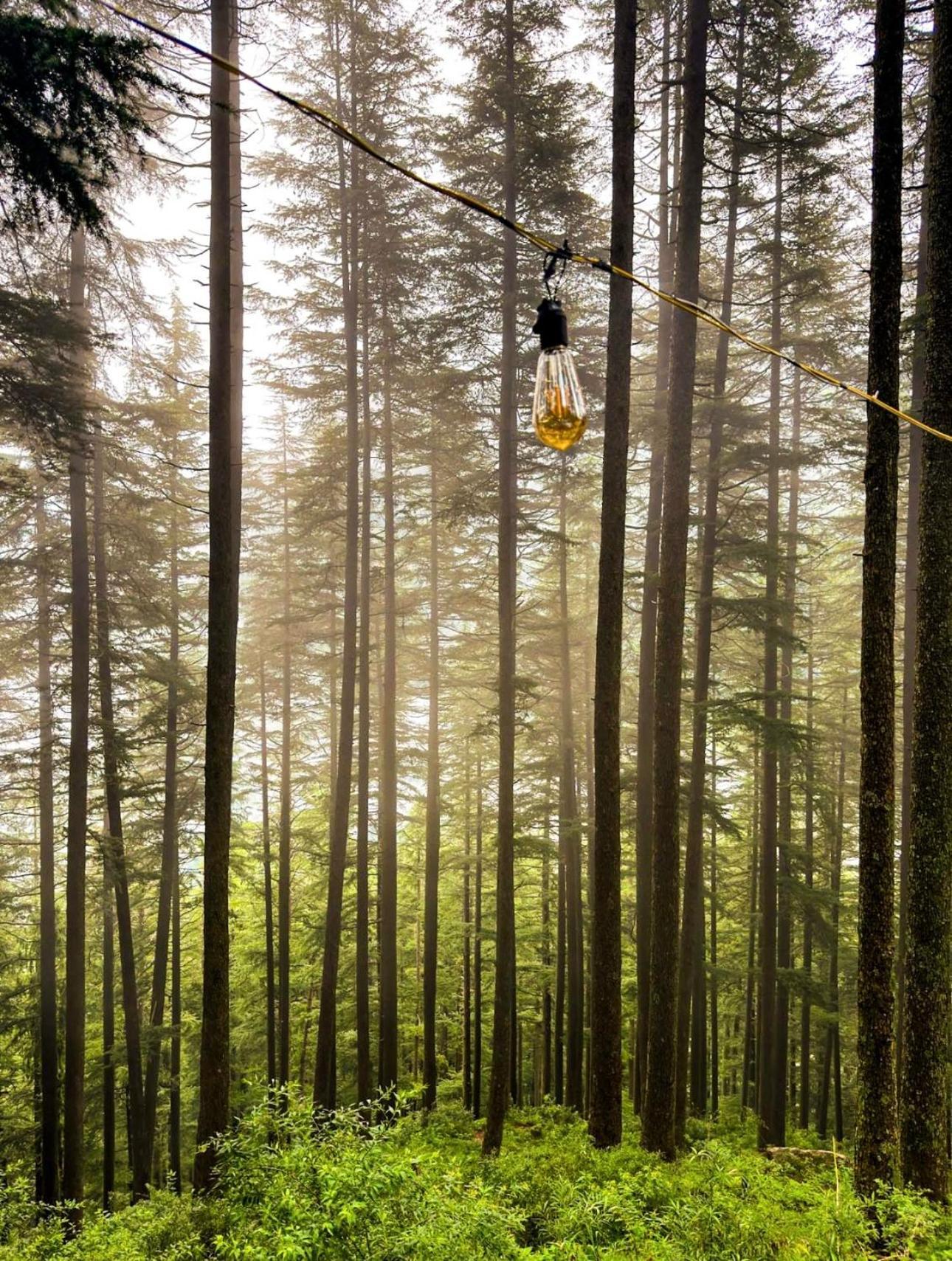 Chalet Himalayan Quails Nest Treehouse *