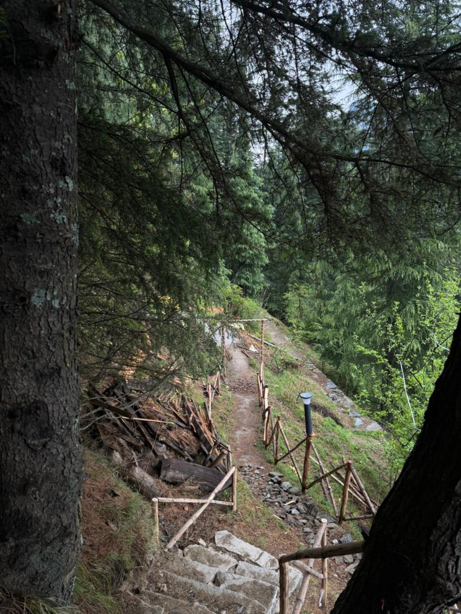 Chalet Himalayan Quails Nest Treehouse *