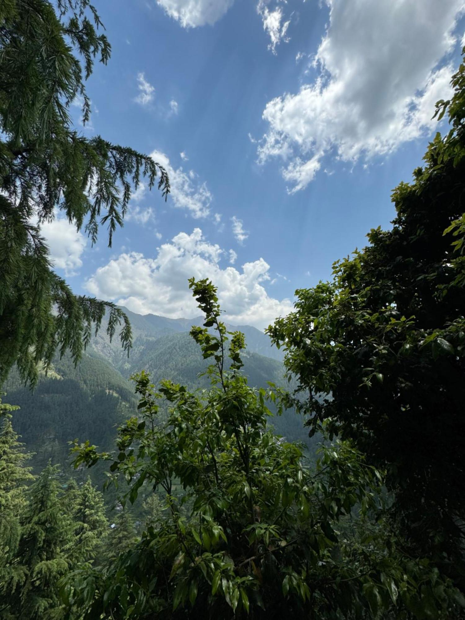 Chalet Himalayan Quails Nest Treehouse Jibhi