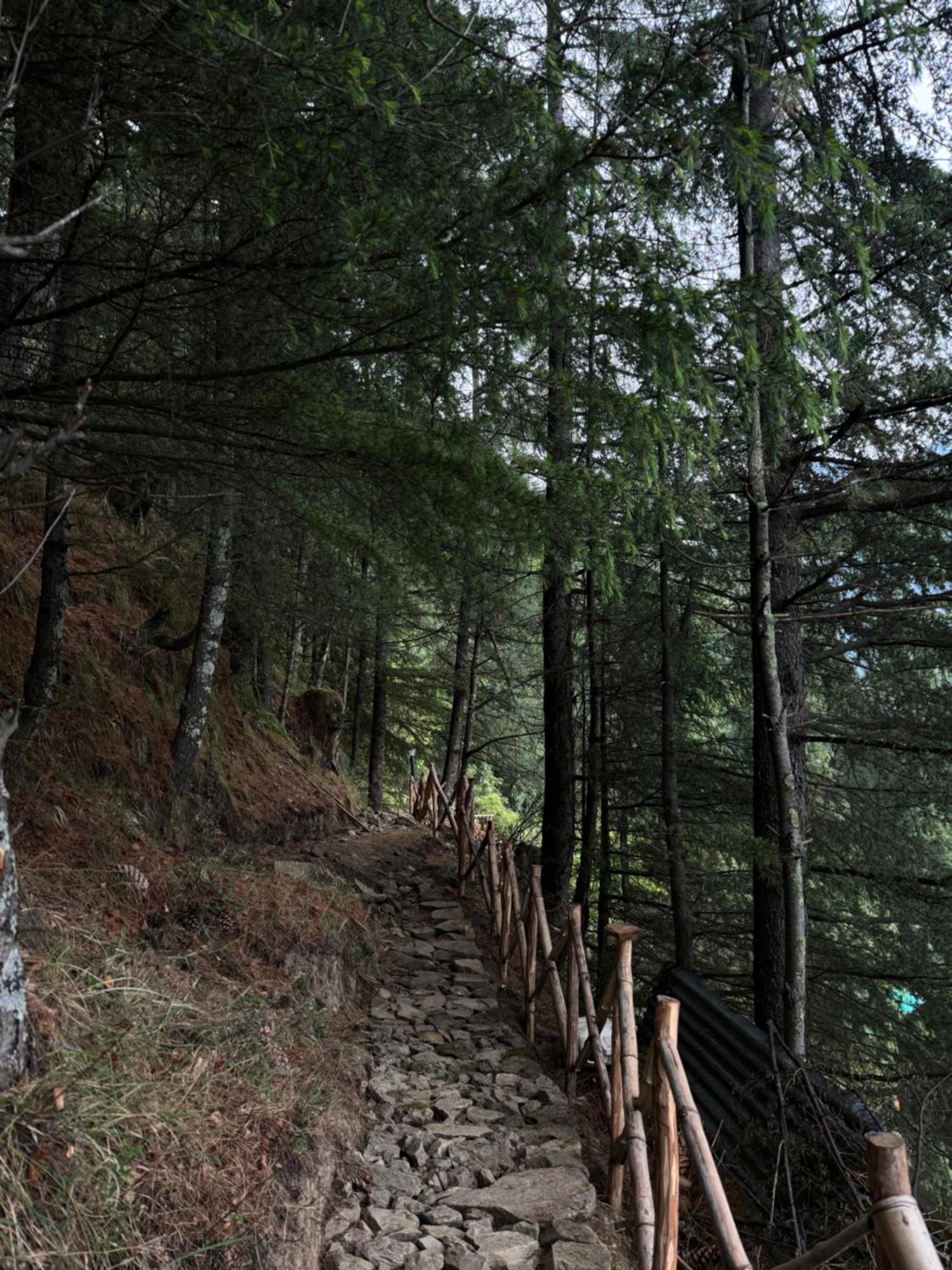 Himalayan Quails Nest Treehouse *