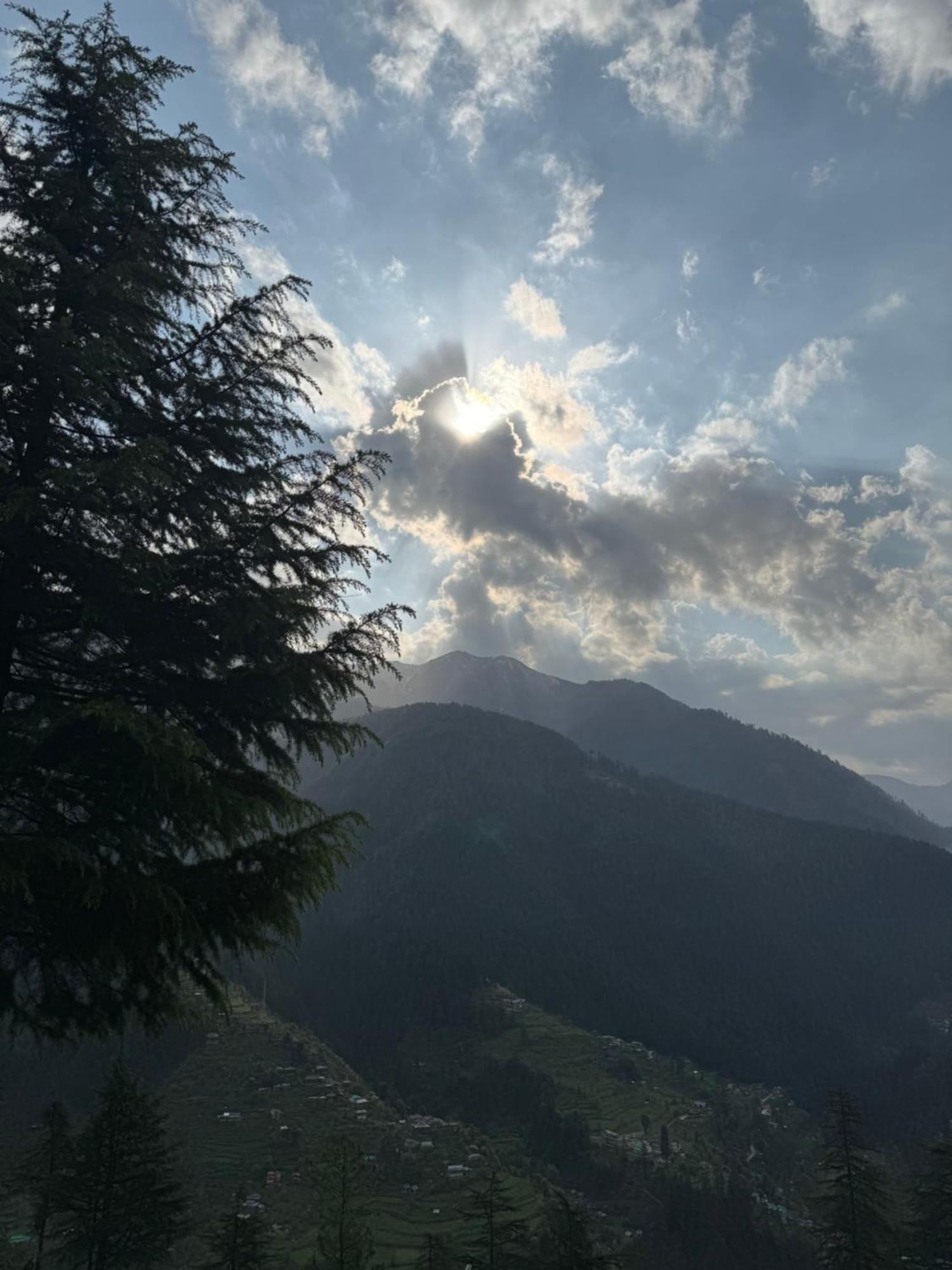 Himalayan Quails Nest Treehouse Chalet Jibhi