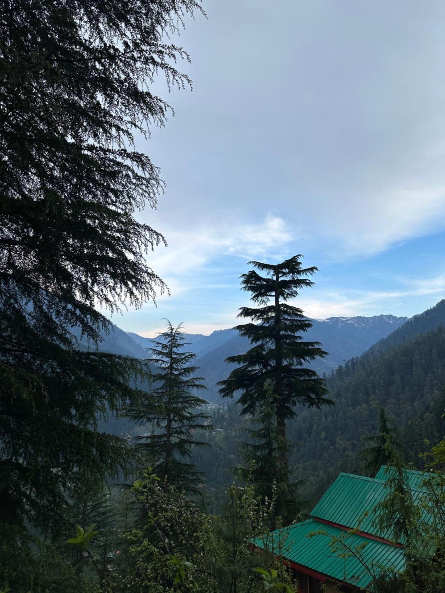 Himalayan Quails Nest Treehouse