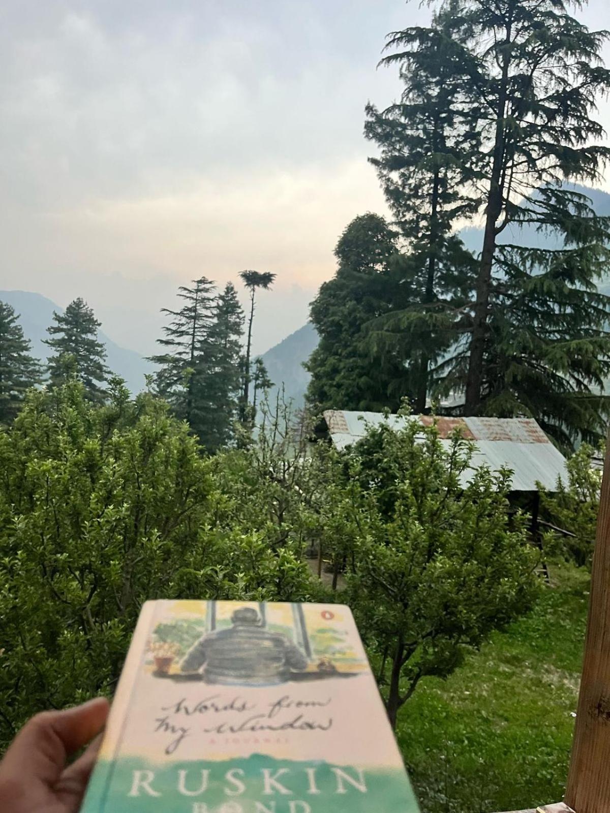 Escape Window Hotel Jibhi