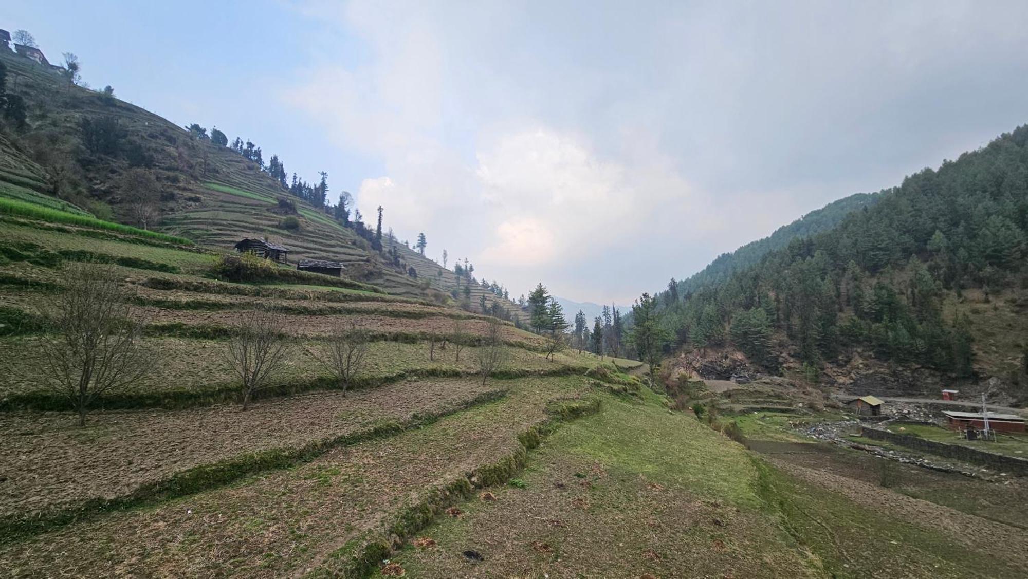 Freebird Nest Retreat Lodge Jibhi