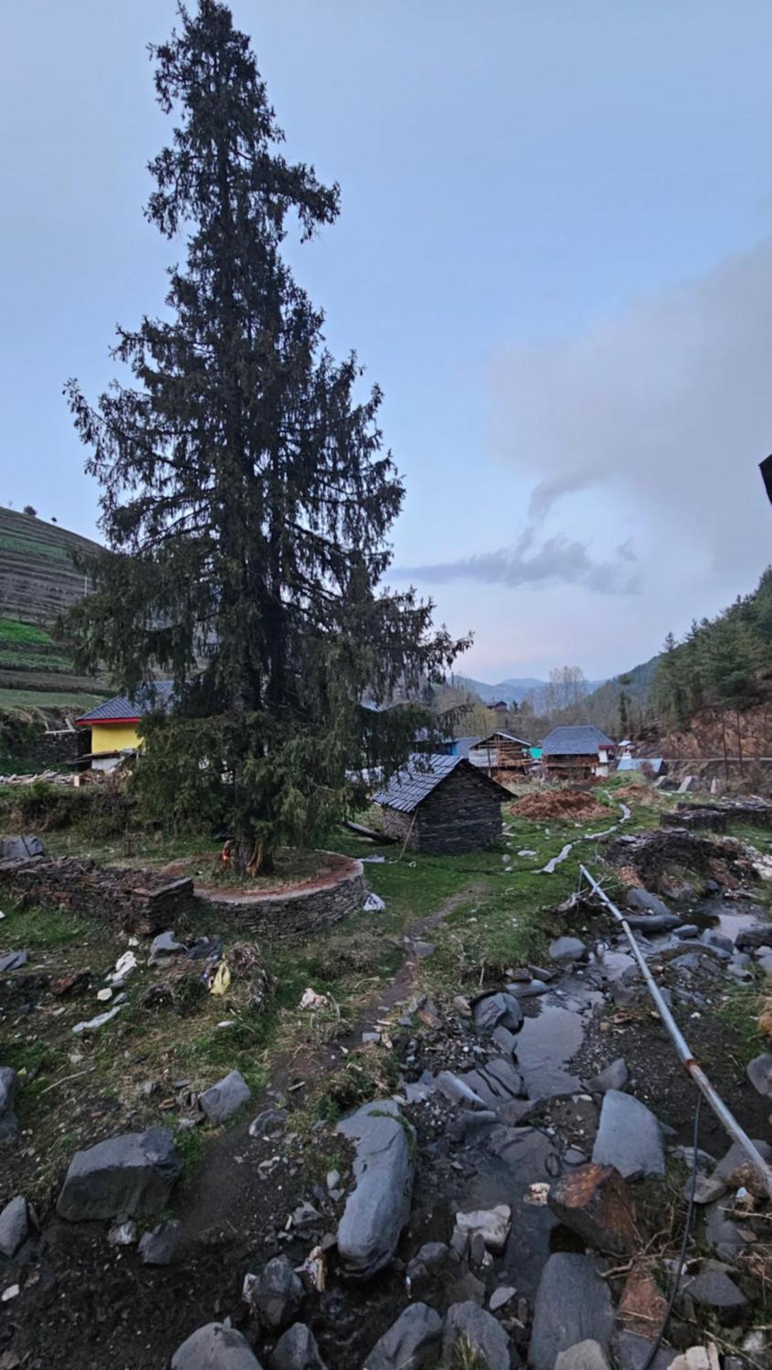 Freebird Nest Retreat Lodge Jibhi