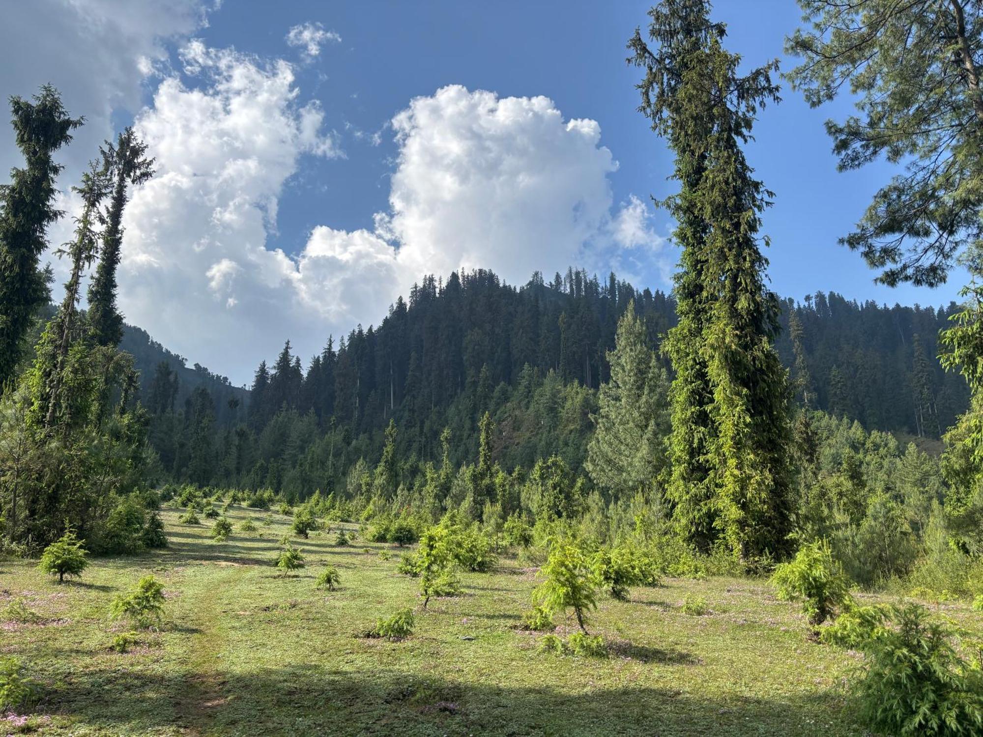 Apple Land By Naavagat