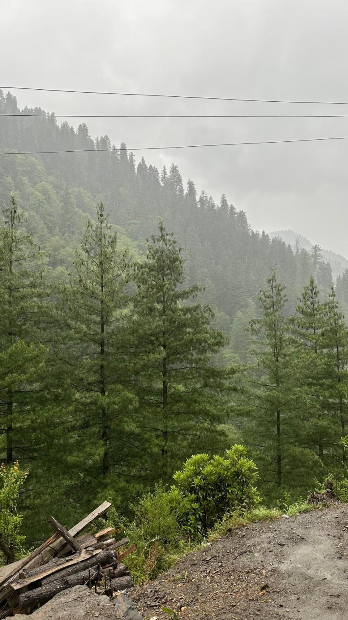 Solo Ki Duniya, Near Jhalori Pass, Jibhi, Shoja