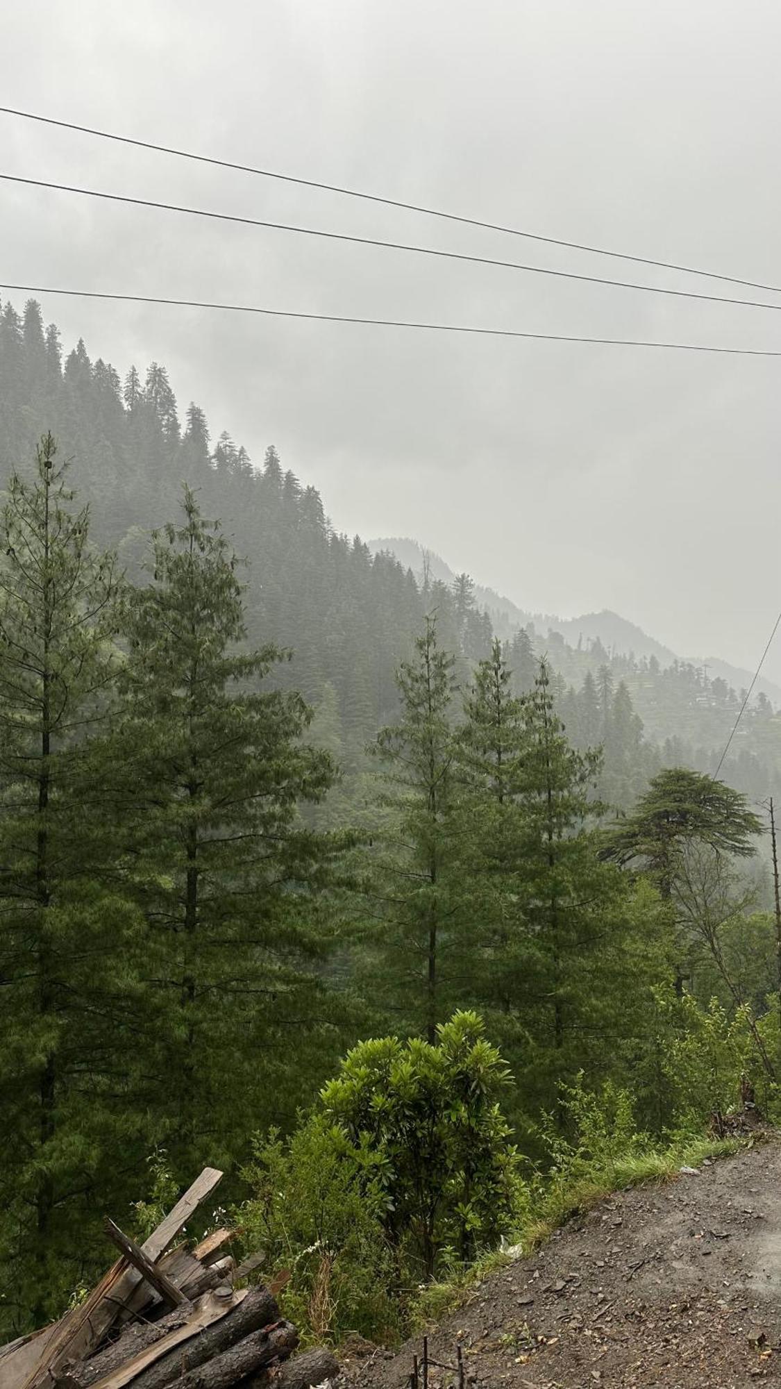 Solo Ki Duniya, Near Jhalori Pass, Jibhi, Shoja * Jibhi