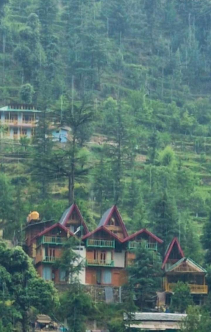 Star Gazing A Shape Homestay *
