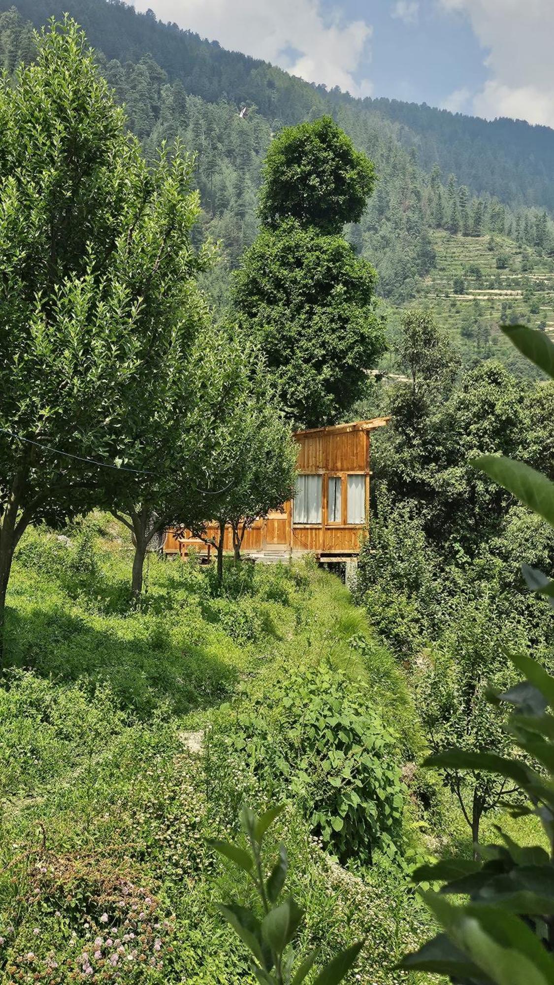 Ruhaani & Cafe Guest house *