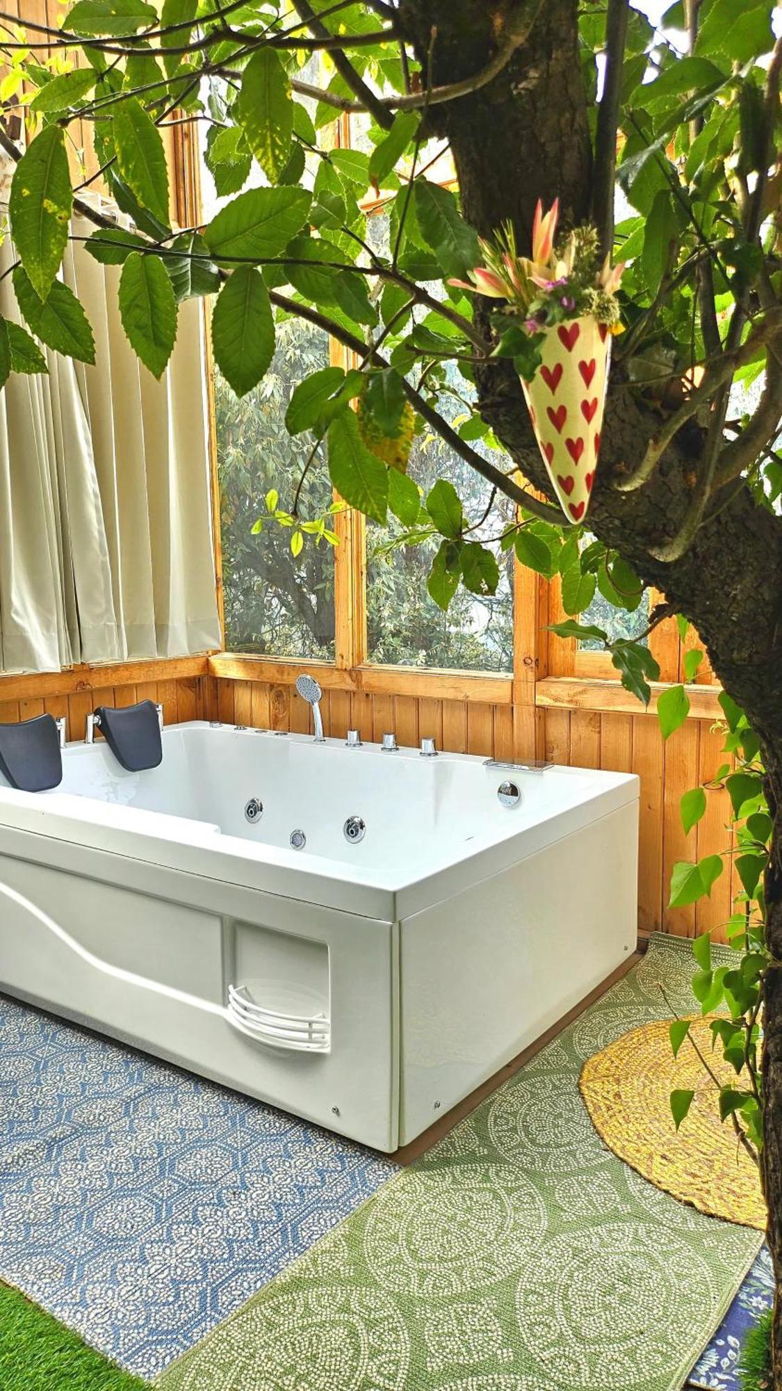 Guest house Ruhaani & Cafe Jibhi
